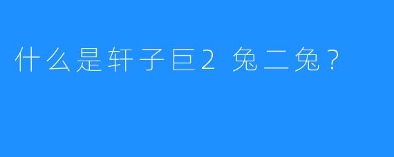 什么是轩子巨2兔二兔？