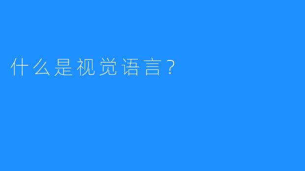 什么是视觉语言？