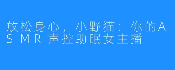 放松身心,小野猫:你的ASMR声控助眠女主播