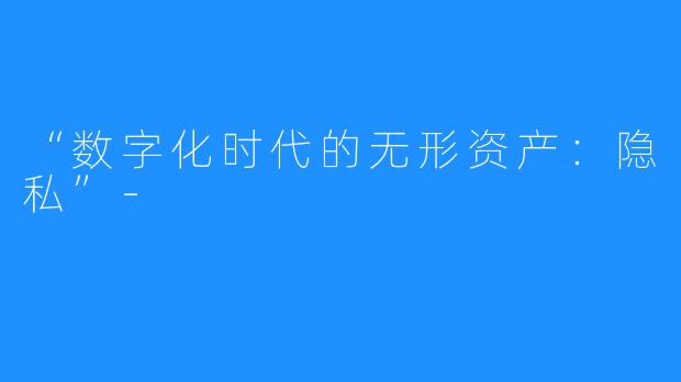 “数字化时代的无形资产:隐私”-