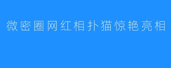 微密圈网红相扑猫惊艳亮相