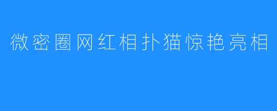 微密圈网红相扑猫惊艳亮相