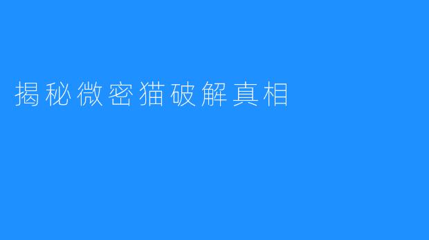 揭秘微密猫破解真相