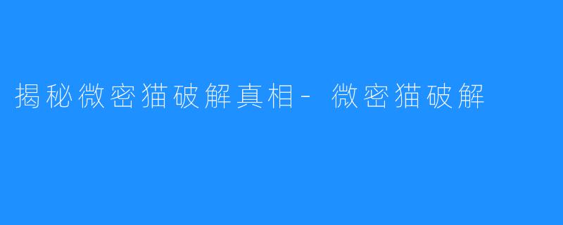 揭秘微密猫破解真相-微密猫破解