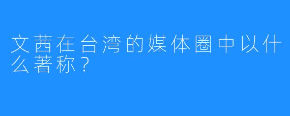 文茜在台湾的媒体圈中以什么著称？  
