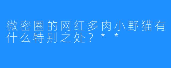 微密圈的网红多肉小野猫有什么特别之处？**