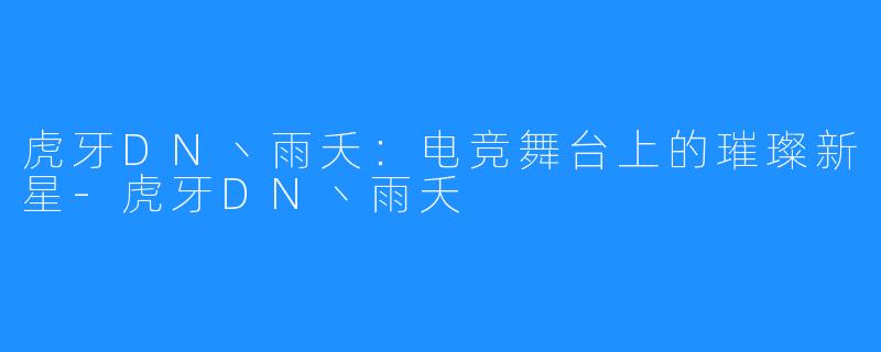 虎牙DN丶雨夭:电竞舞台上的璀璨新星-虎牙DN丶雨夭