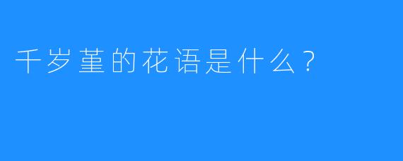 千岁堇的花语是什么？