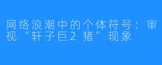 网络浪潮中的个体符号：审视“轩子巨2猪”现象