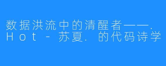 数据洪流中的清醒者——.Hot-苏夏.的代码诗学