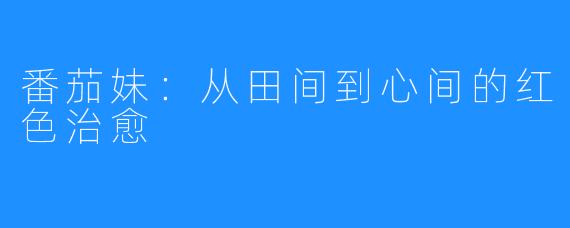 番茄妹:从田间到心间的红色治愈