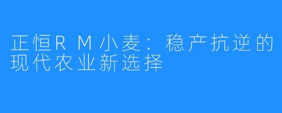 正恒RM小麦:稳产抗逆的现代农业新选择