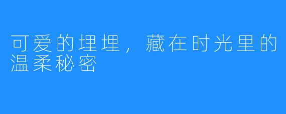 可爱的埋埋，藏在时光里的温柔秘密