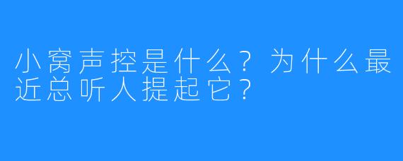 小窝声控是什么?为什么最近总听人提起它?