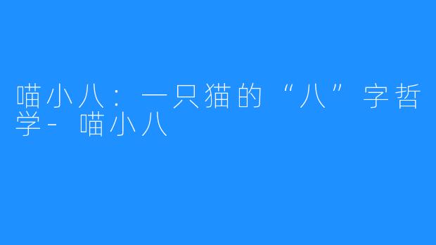 喵小八:一只猫的“八”字哲学-喵小八