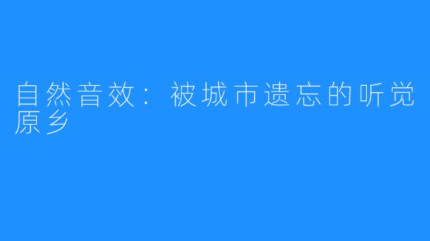 自然音效:被城市遗忘的听觉原乡